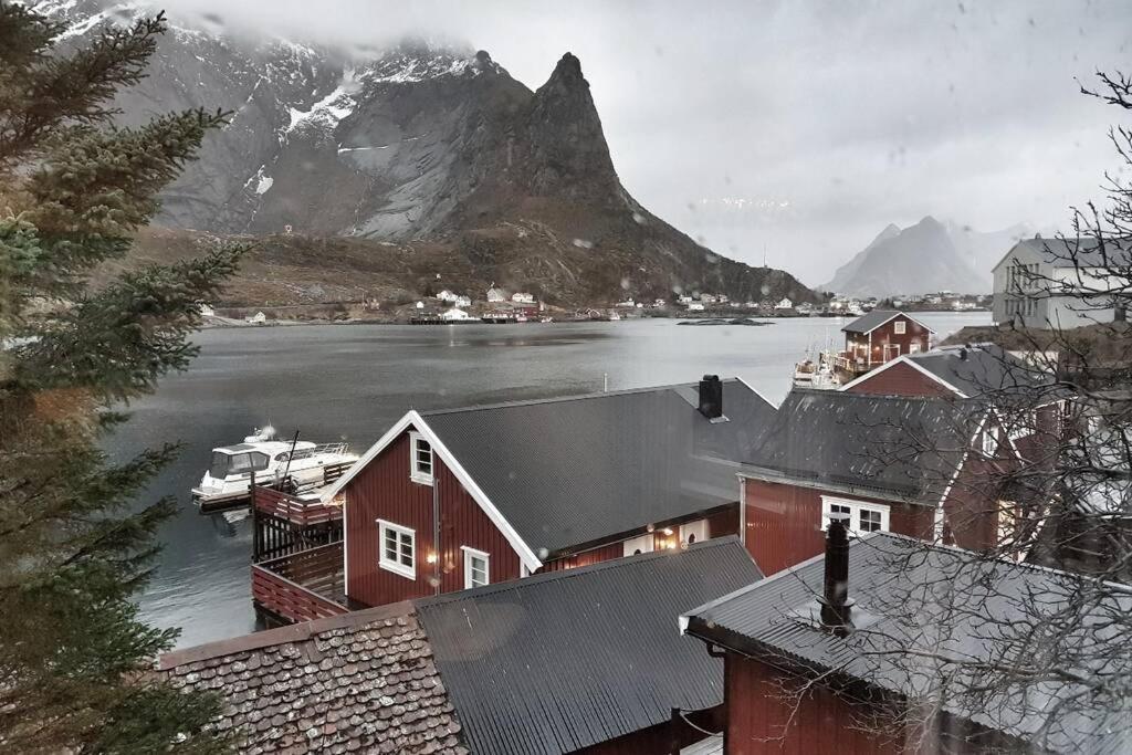 ריינה Cozy House By The Fjord In The Heart Of Lofoten מראה חיצוני תמונה